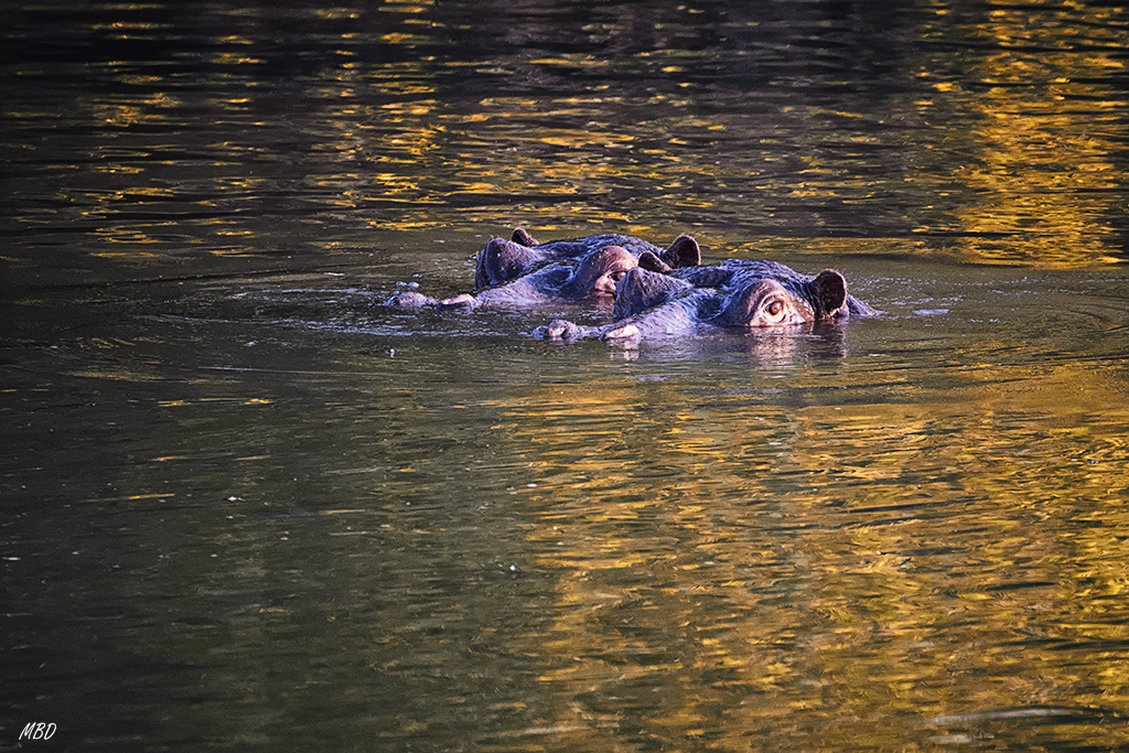 Poco a poco la luz se hace más cálida