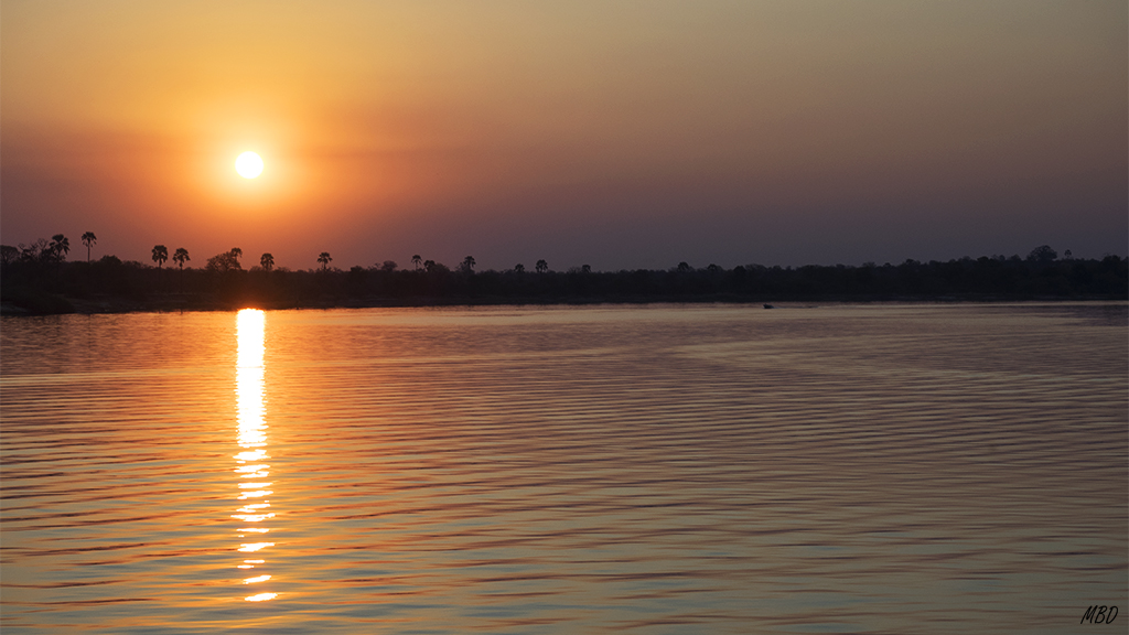 No me canso de hacer fotos de esta maravilla