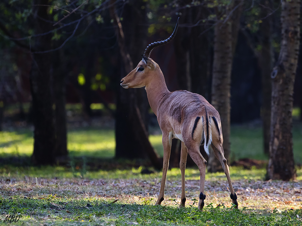 Parece que este ha ganado hoy