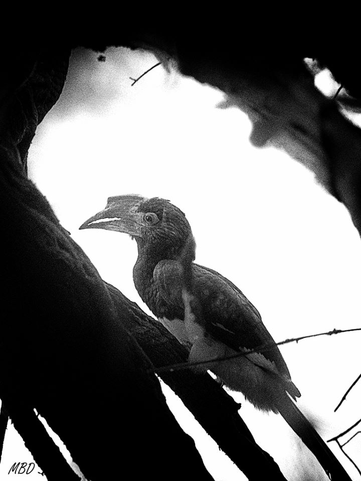 Le sienta bien el blanco y negro