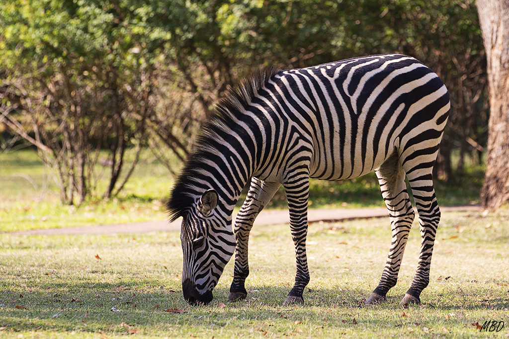 De vuelta en el hotel, tenemos visita