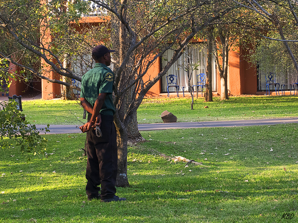 ...con tirachinas para controlar la fauna