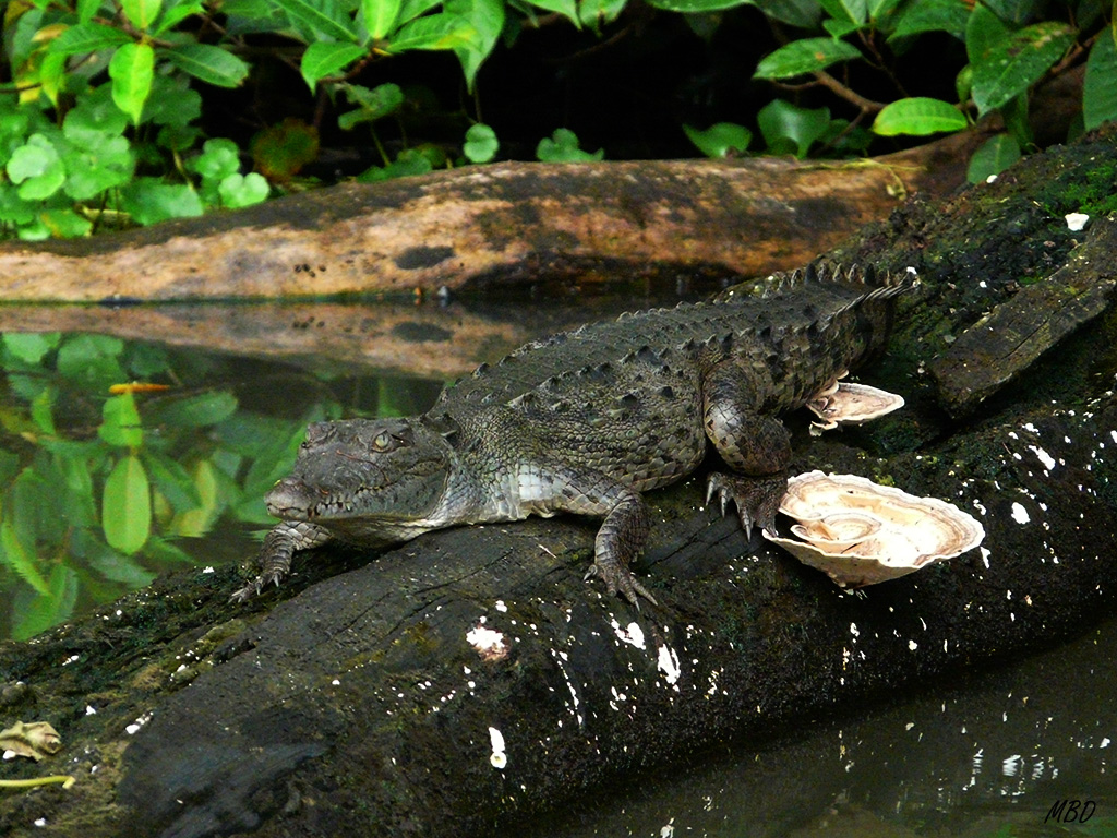 De paseo por los canales