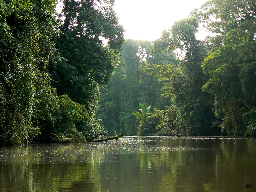 Una delicia recorrer los canales en canoa