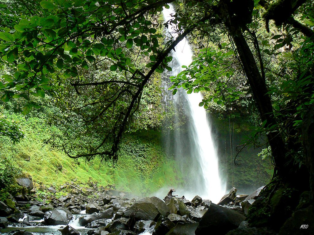 La atmósfera húmeda y calurosa.