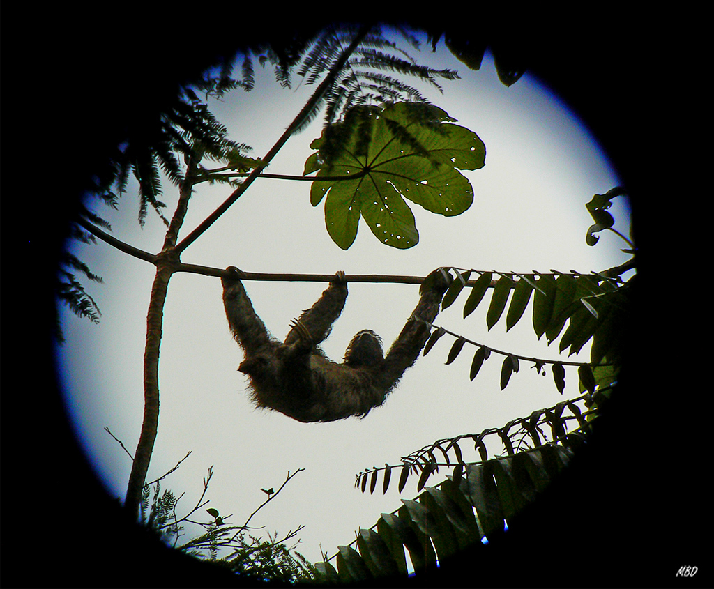 A través del objetivo del telescopio terrestre. La imagen es de documental...
