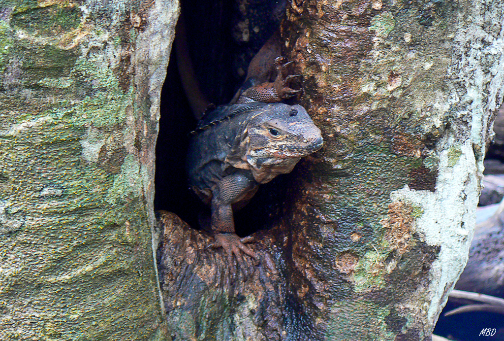 Toleraban muy bien nuestro acercamiento