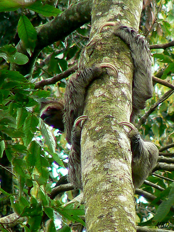Me hubiera gustado tener mi equipo actual!