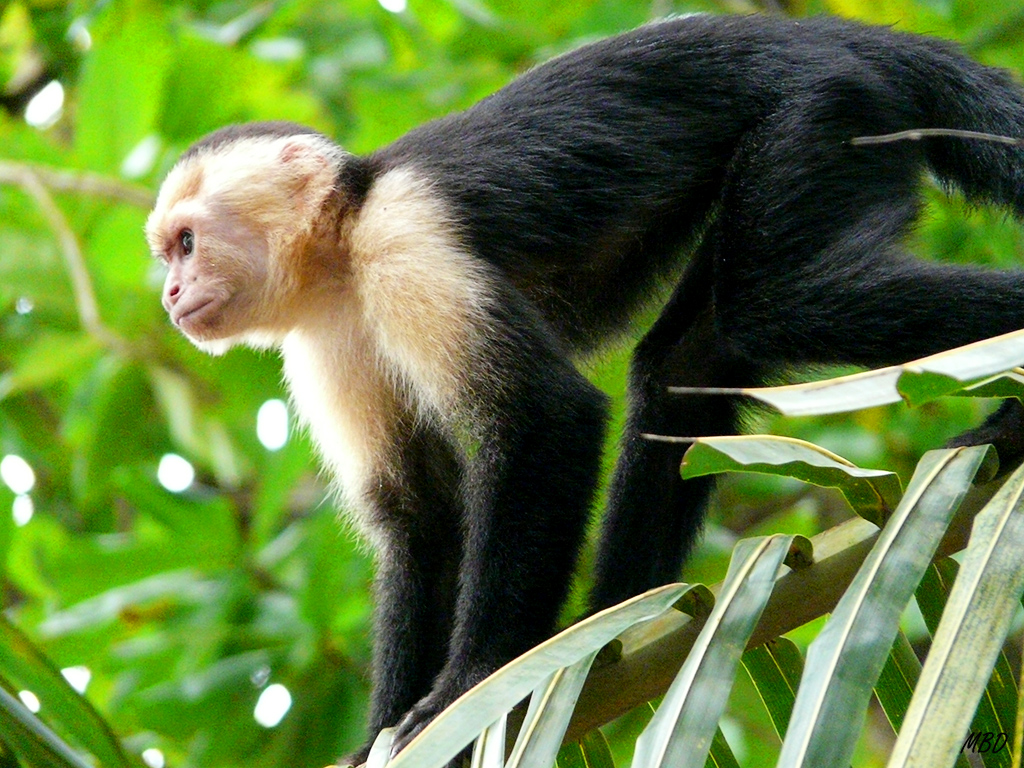 Estaban por todas partes.