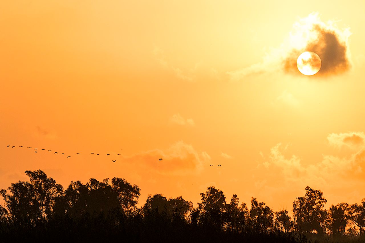 Las puestas de sol del Delta