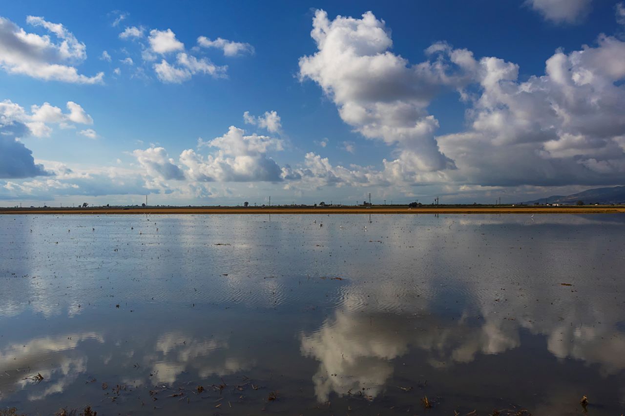 Un paisaje que enamora