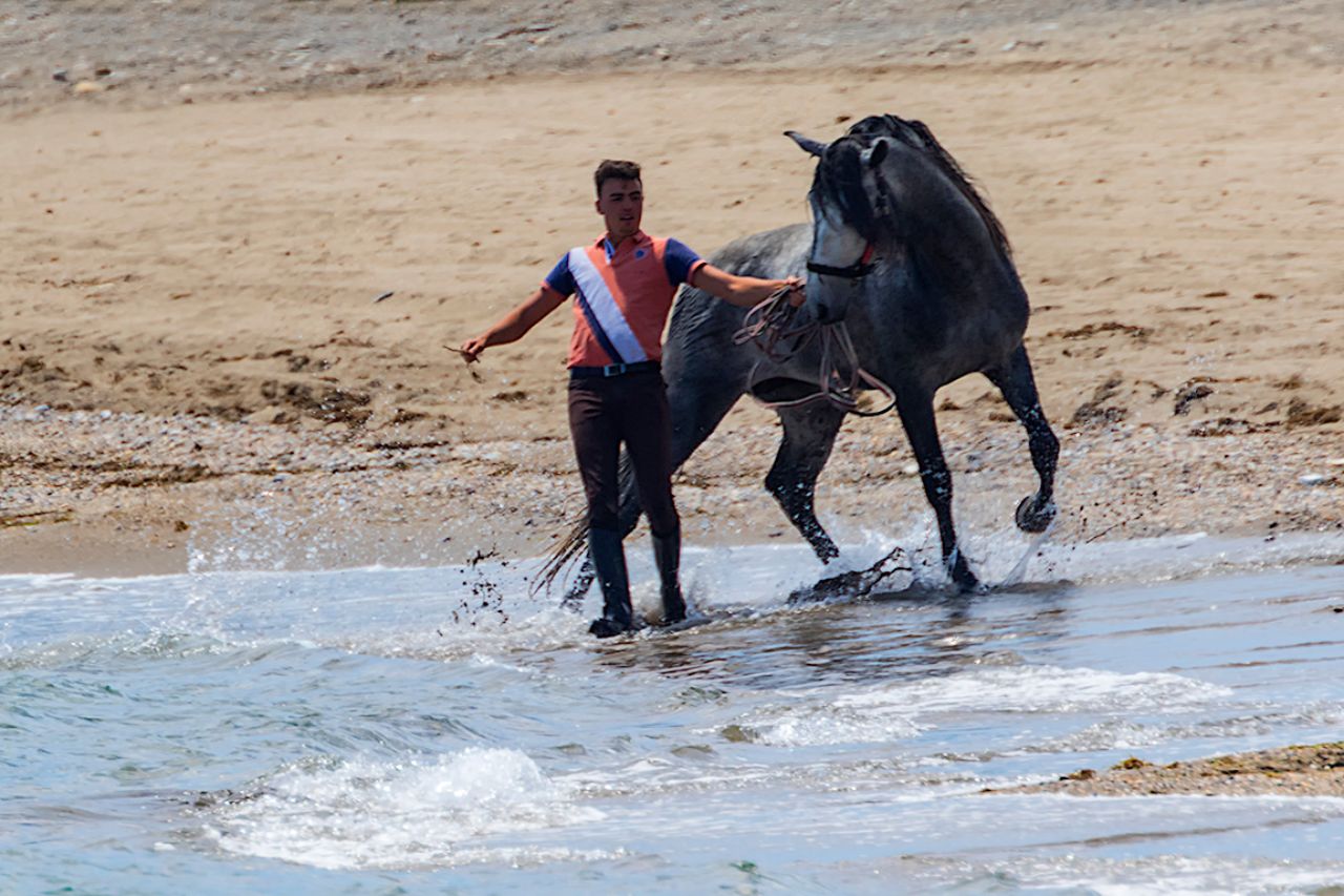 Entrenando al caballo