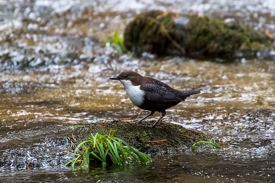 Un año de visitas y fotografía