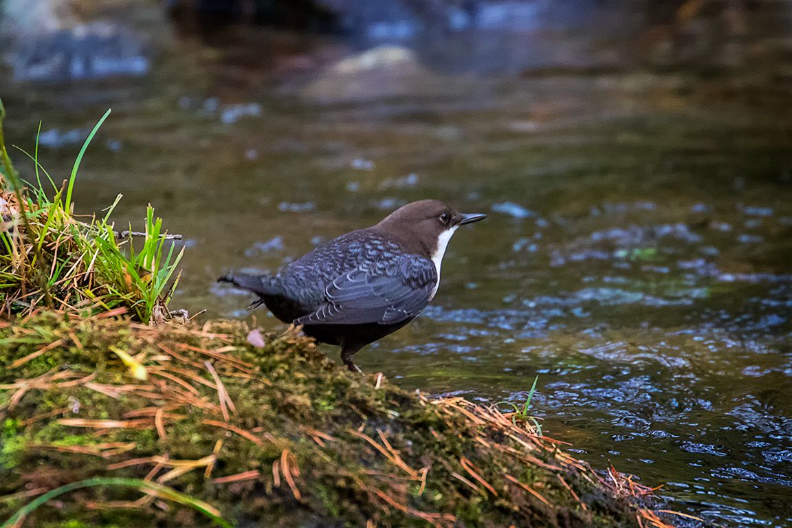 En cualquier estación
