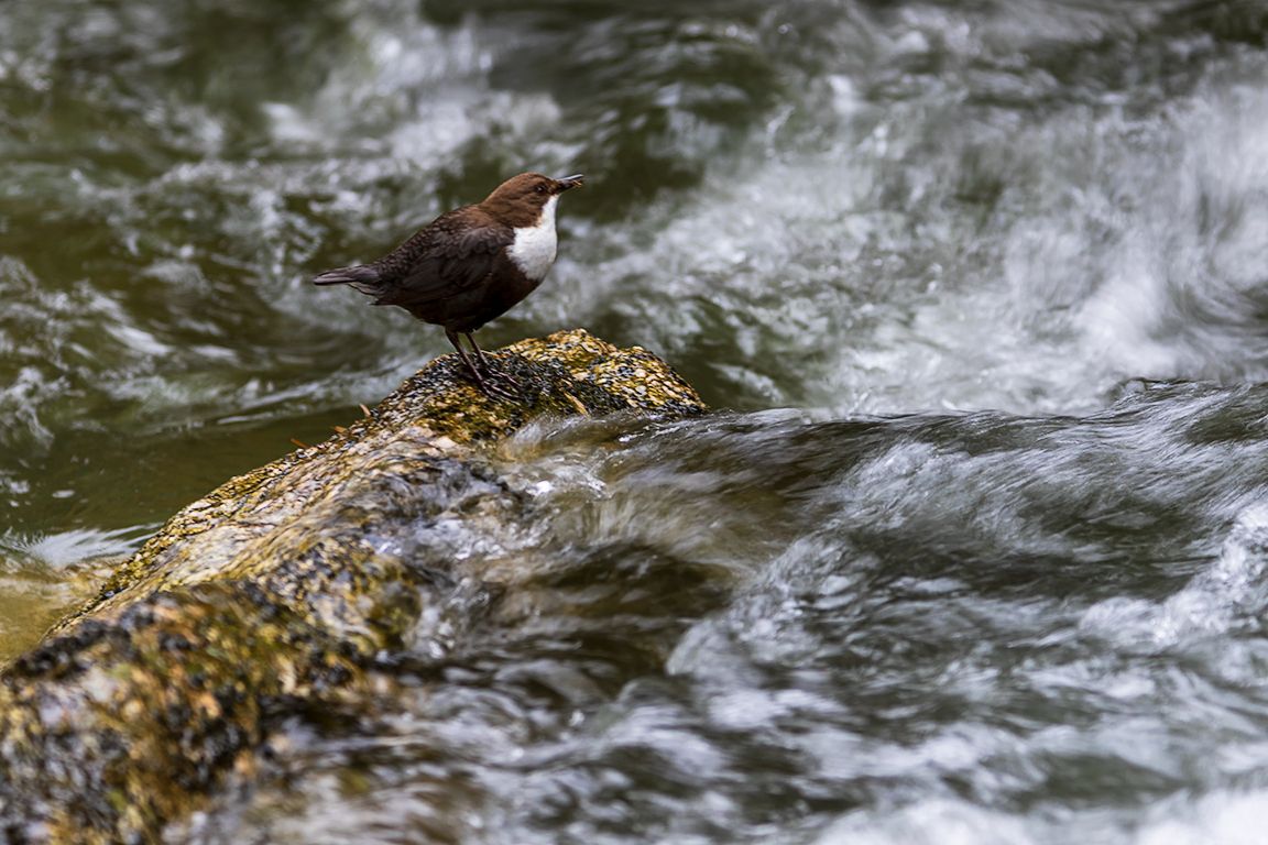 Probando velocidades lentas