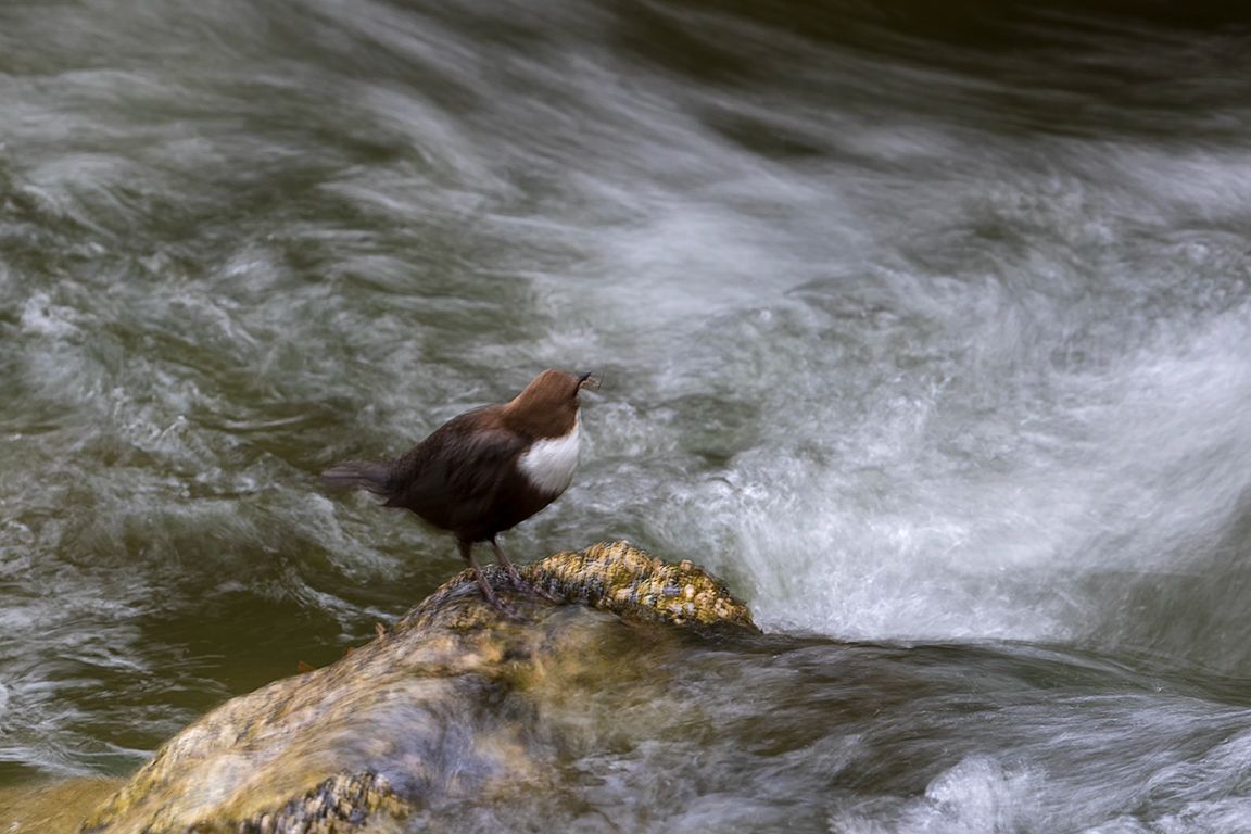 Probando velocidades lentas