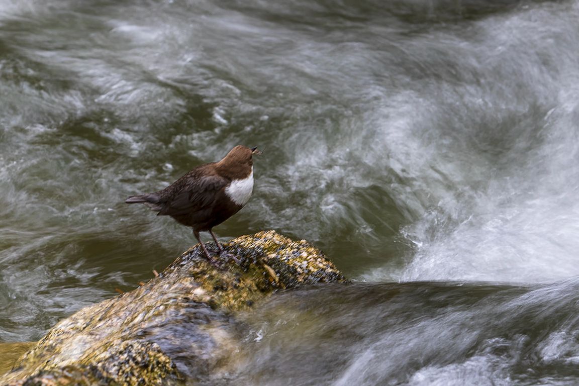 Probando velocidades lentas