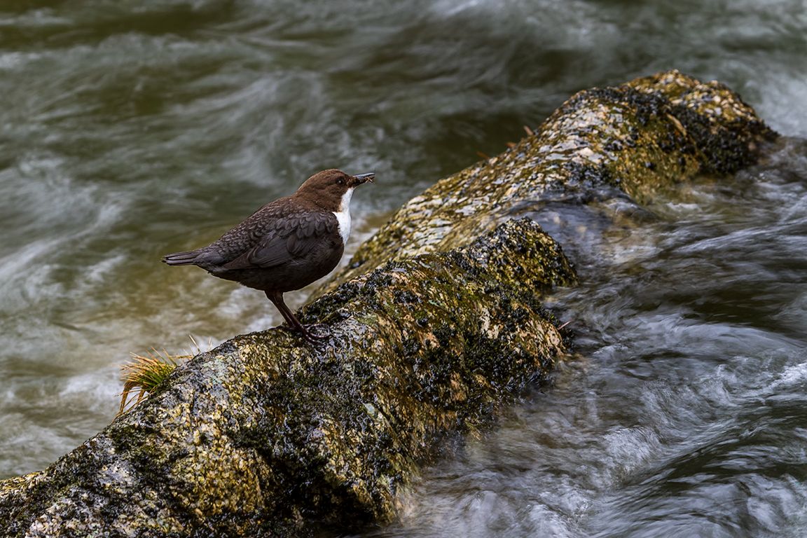 Buscando texturas en el agua