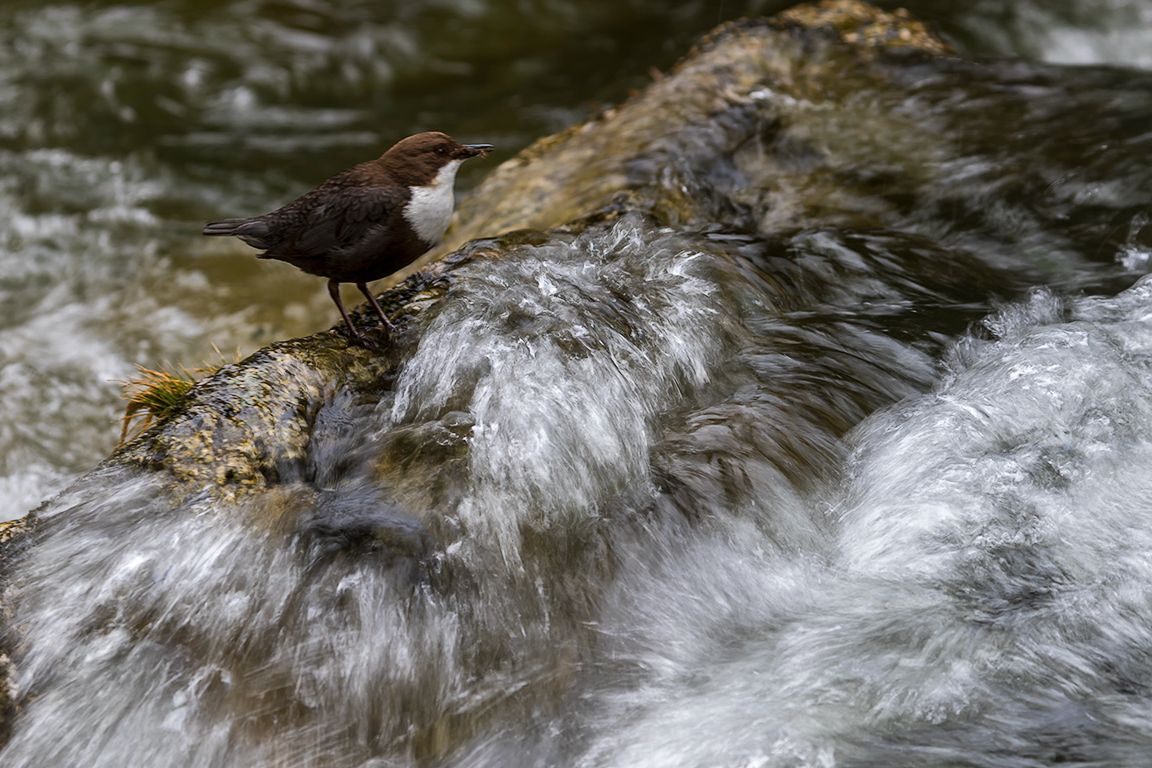 Probando velocidades lentas