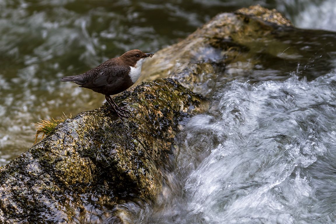 Probando velocidades lentas