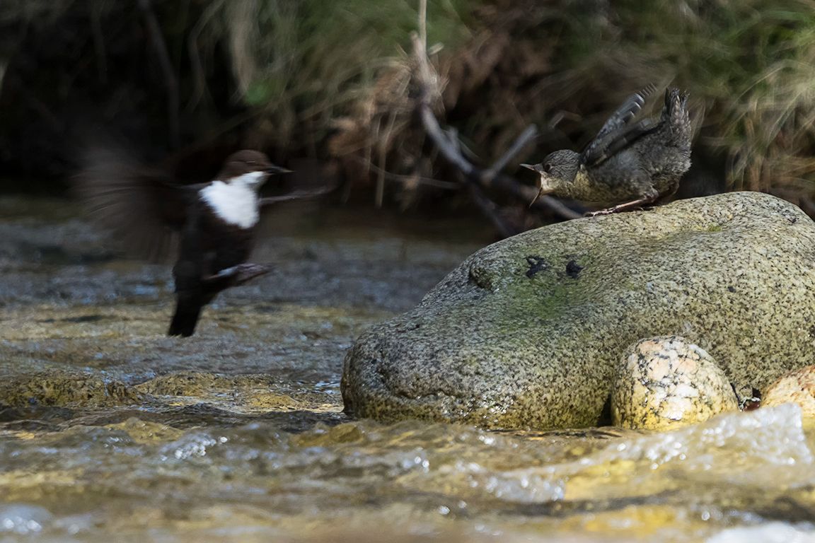 Cuánto has tardado!