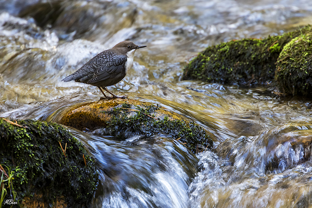 Probando velocidades lentas