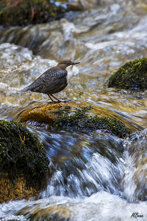 Probando velocidades lentas