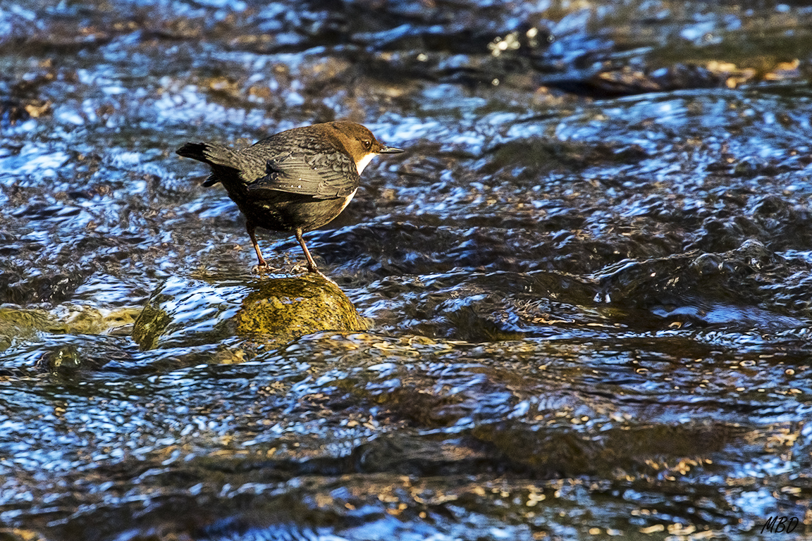 Y de nuevo a la actividad