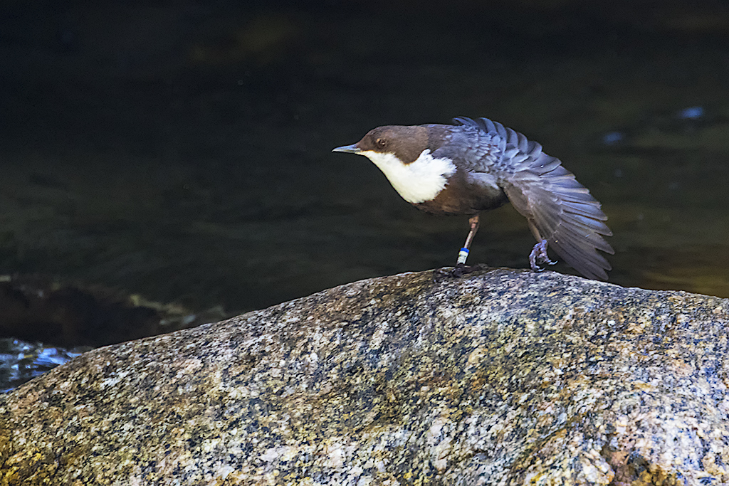 Aprovecha para sus estiramientos