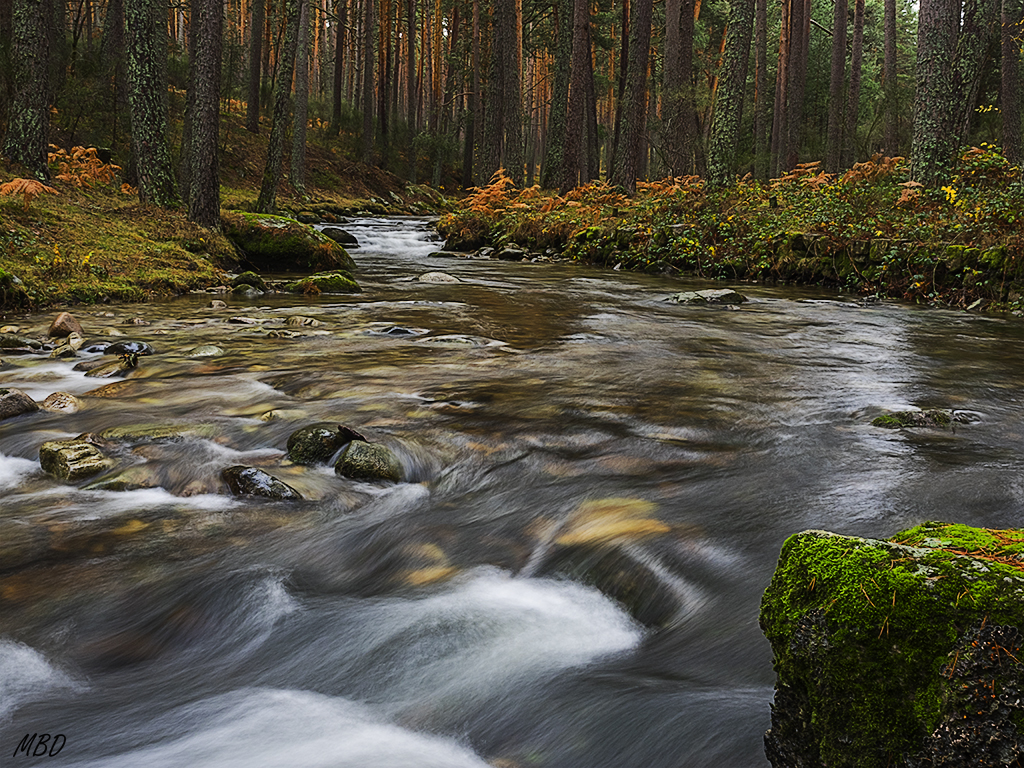 Su habitat magnífico