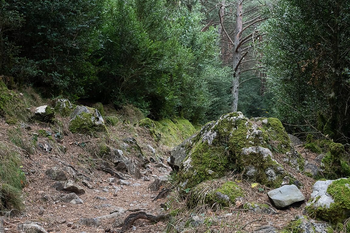 Ruta de las ermitas de Tella