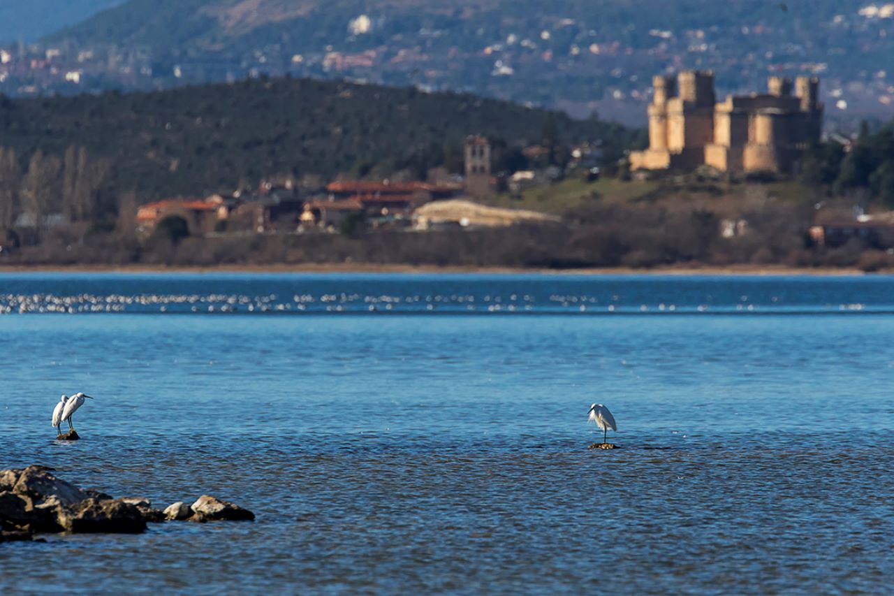 Castillo de Manzanares el Real