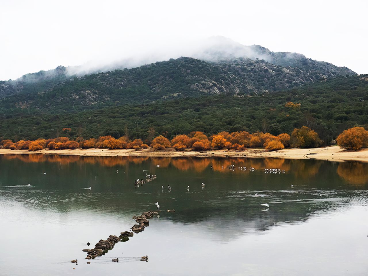 Días de nubes y niebla