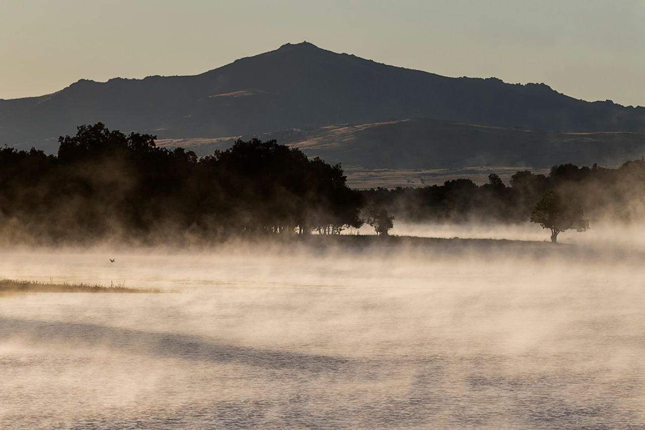 Momentos fugaces de luz