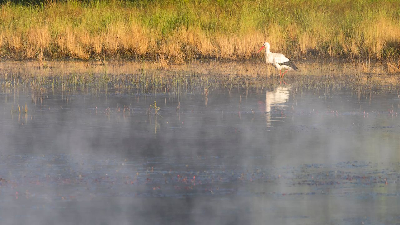 La claridad se apodera