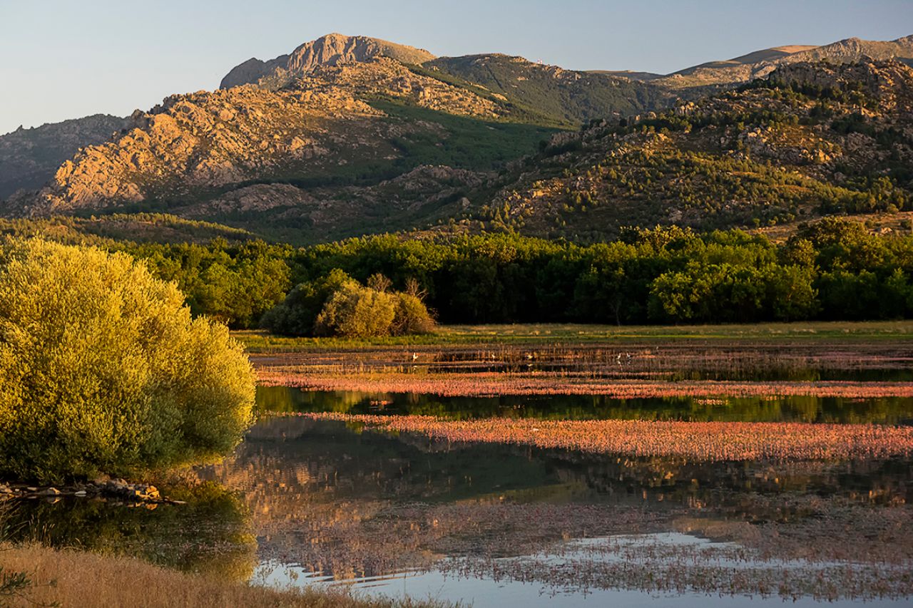 Precioso el embalse en esta época