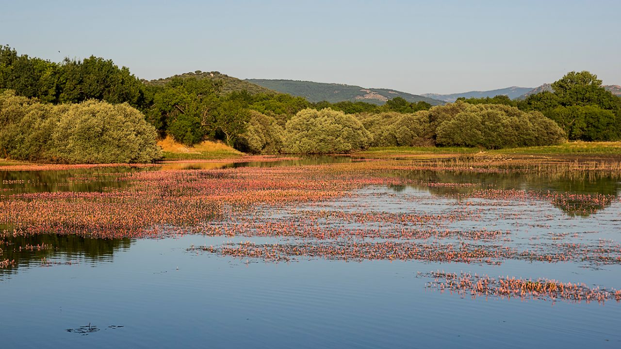 Muy chulo ese tapiz de flores