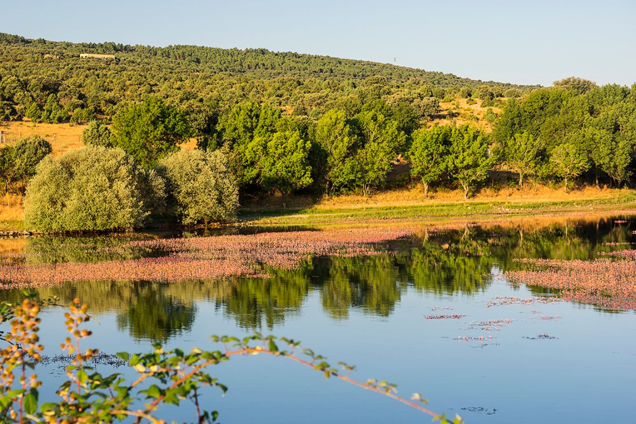 Una invitación a la fotografía
