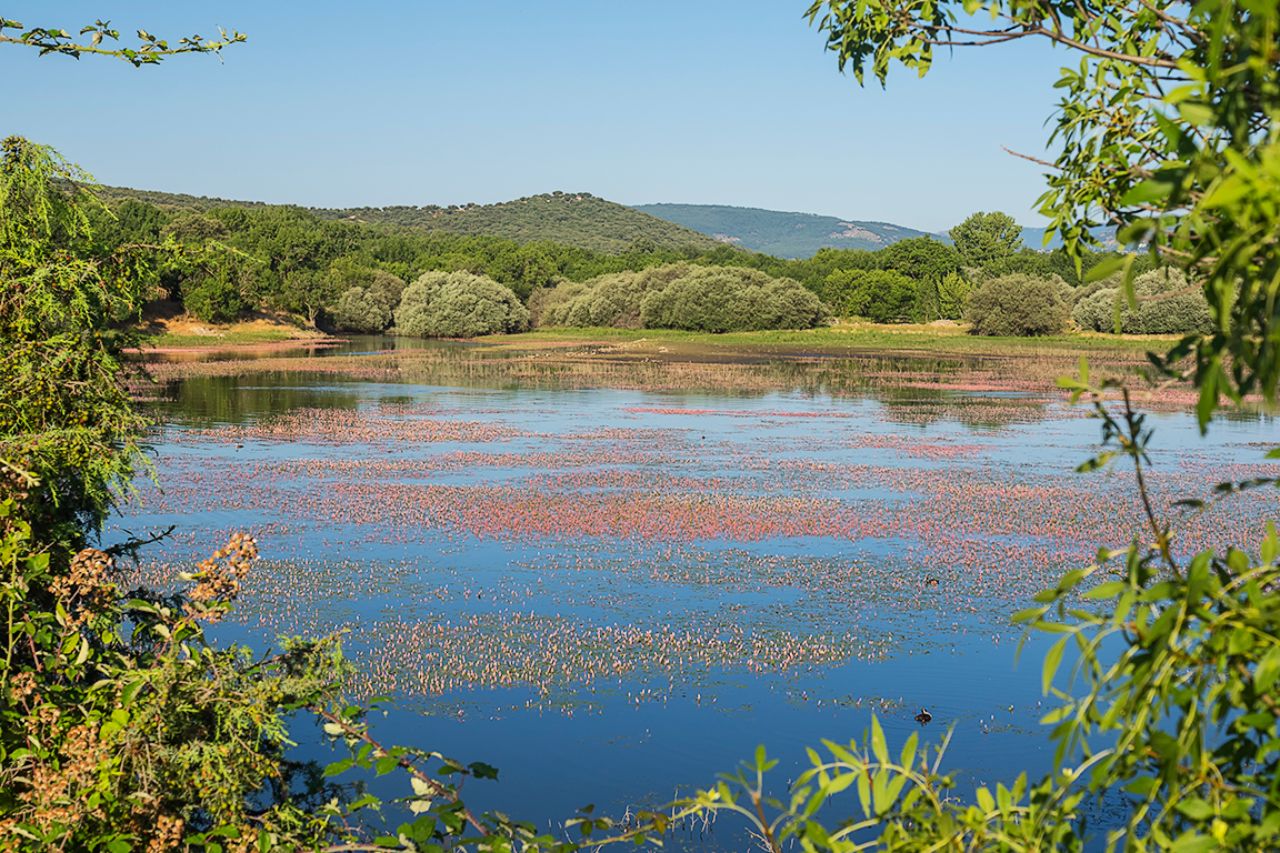 Una invitación a la fotografía