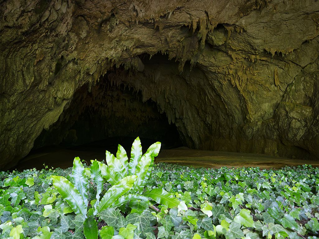 Grutas de Škocjan