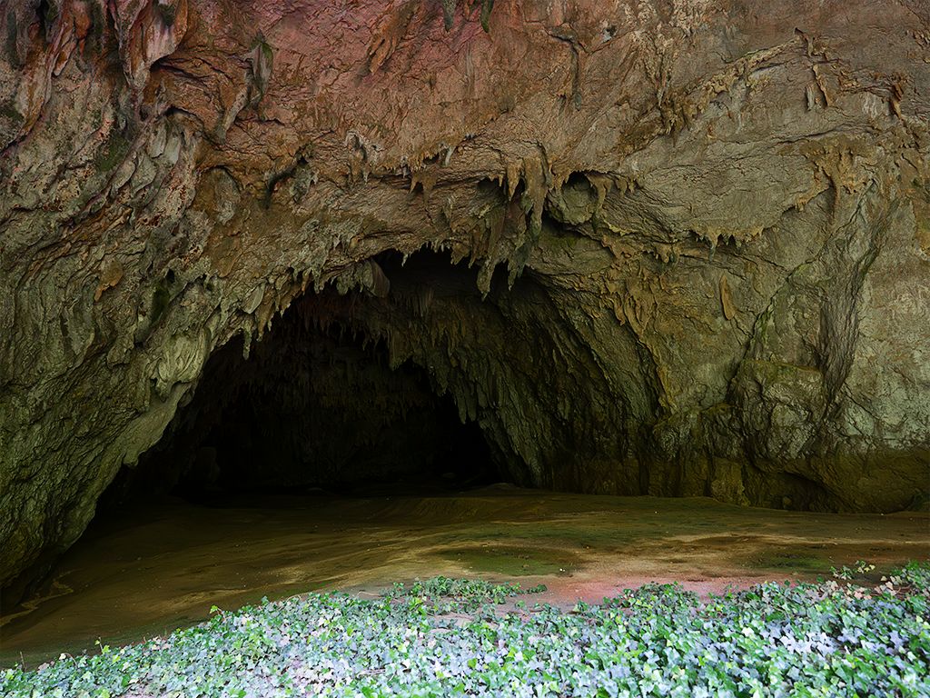 Grutas de Škocjan