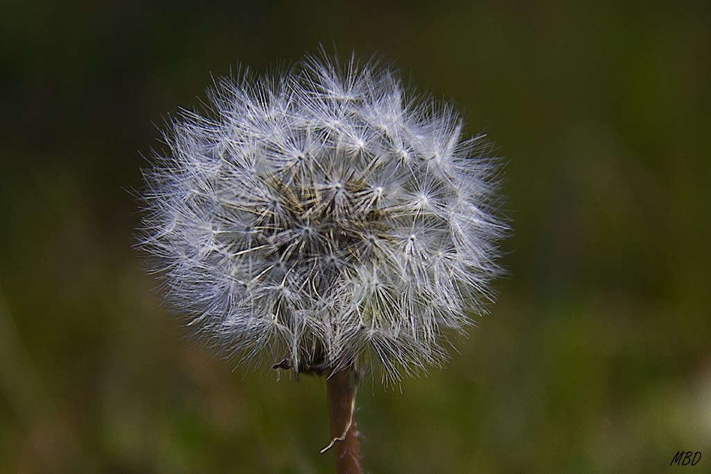 Tres Cantos, abr2016