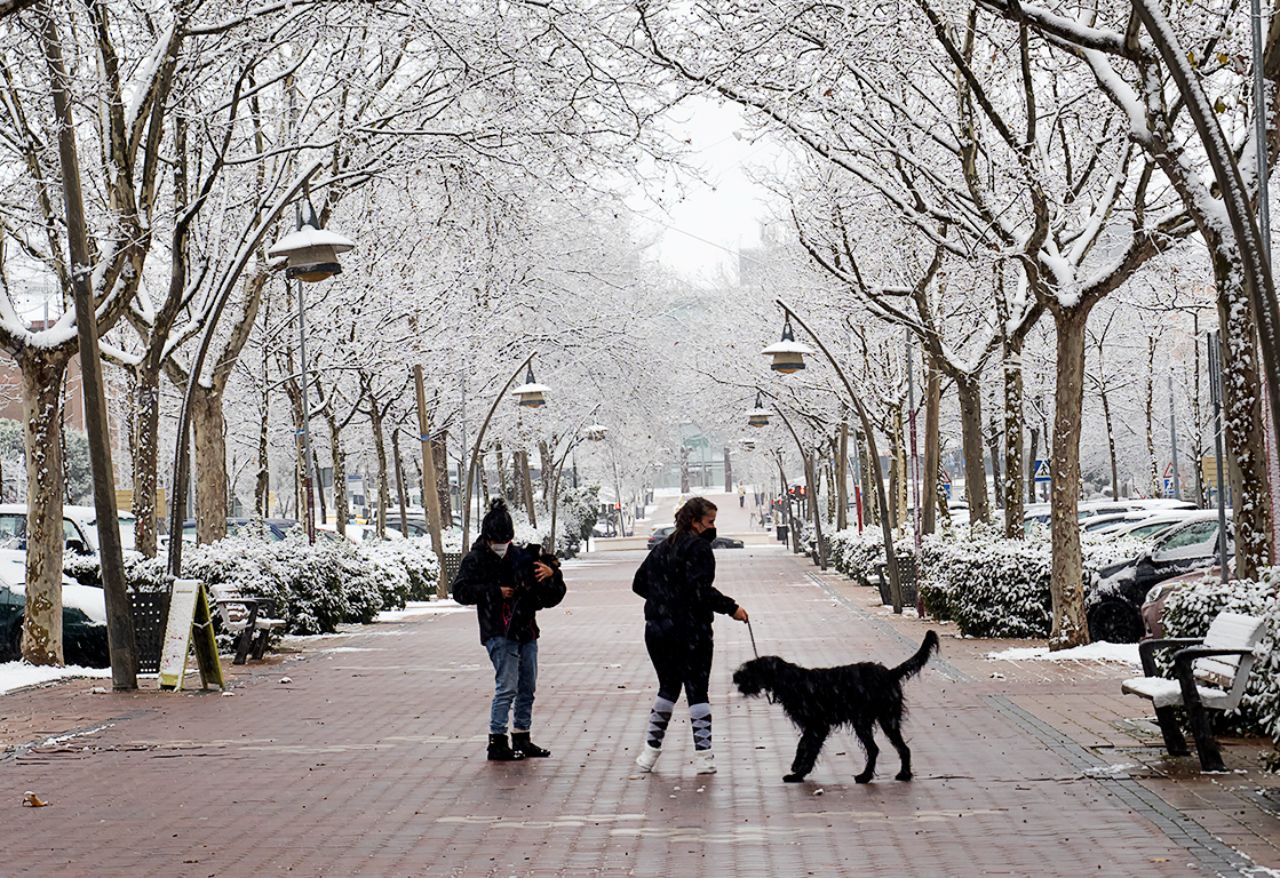 Filomena en Tres Cantos