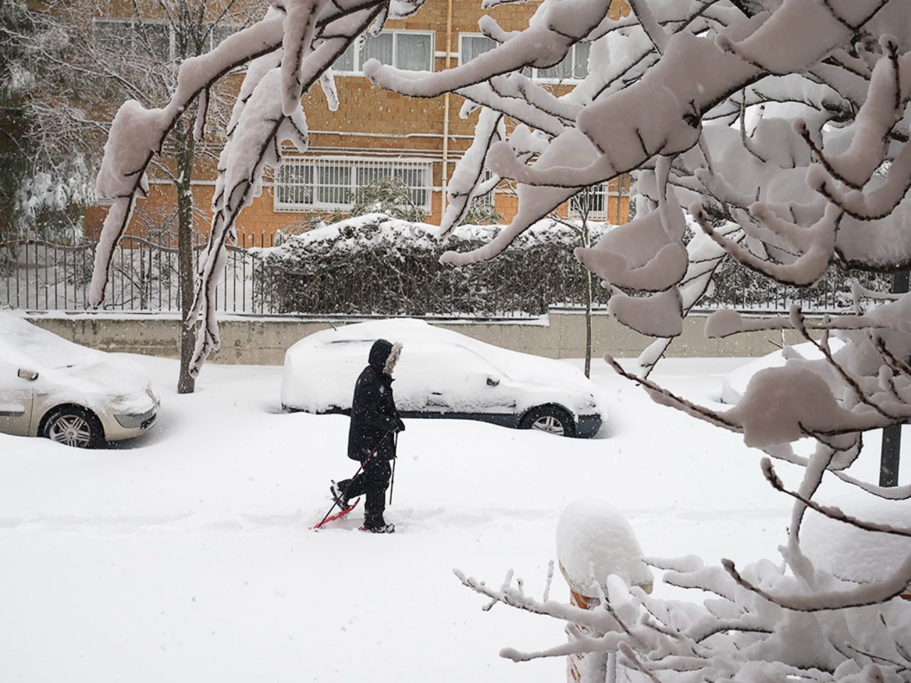 Filomena en Tres Cantos