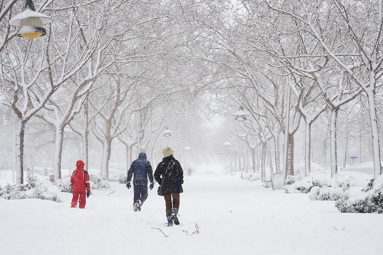 Filomena en Tres Cantos