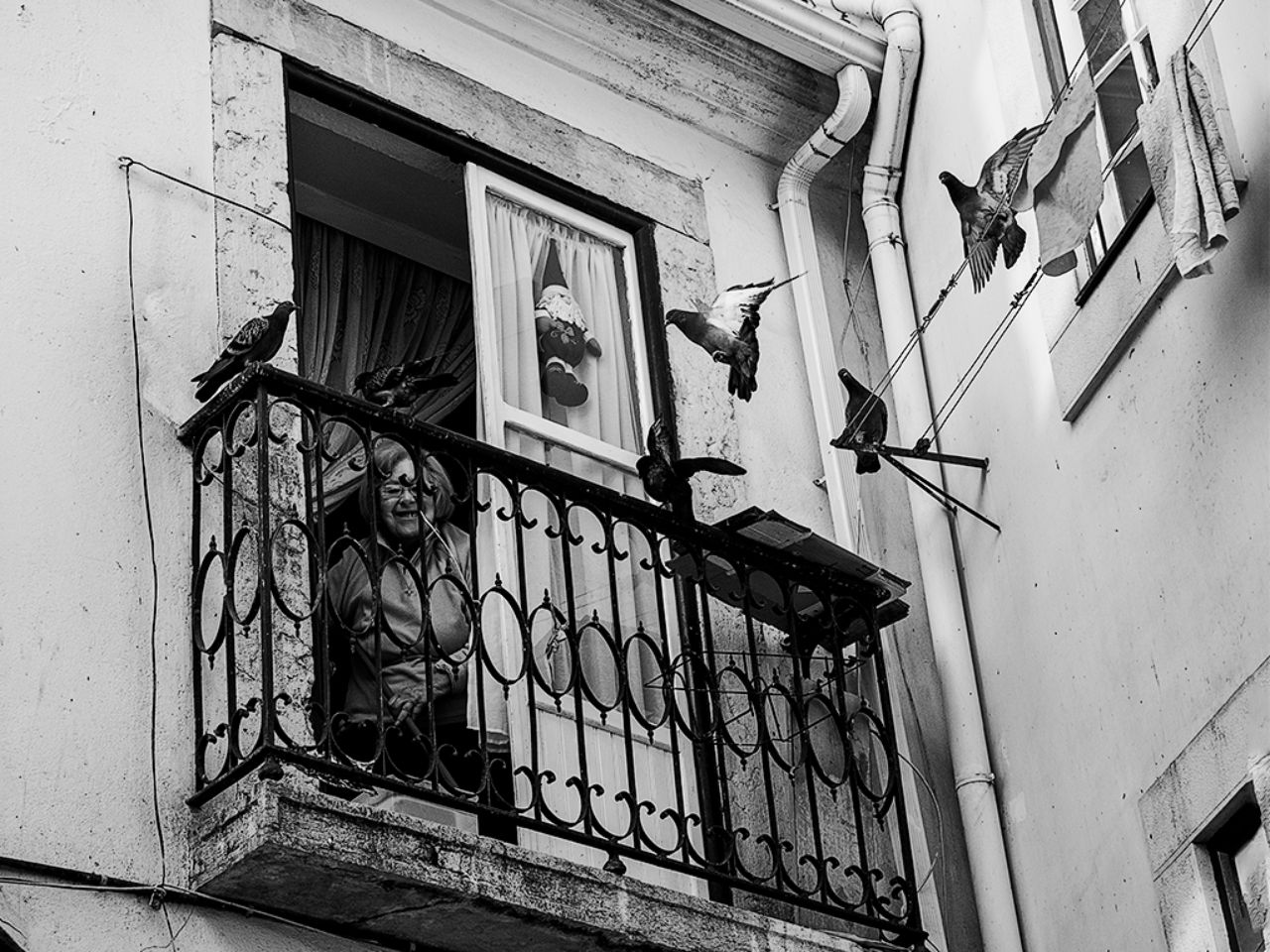 Alfama (Lisboa)