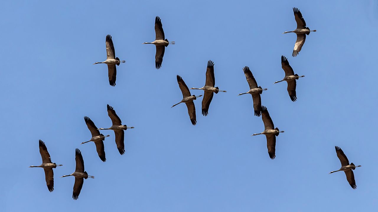 Nos pasan por encima