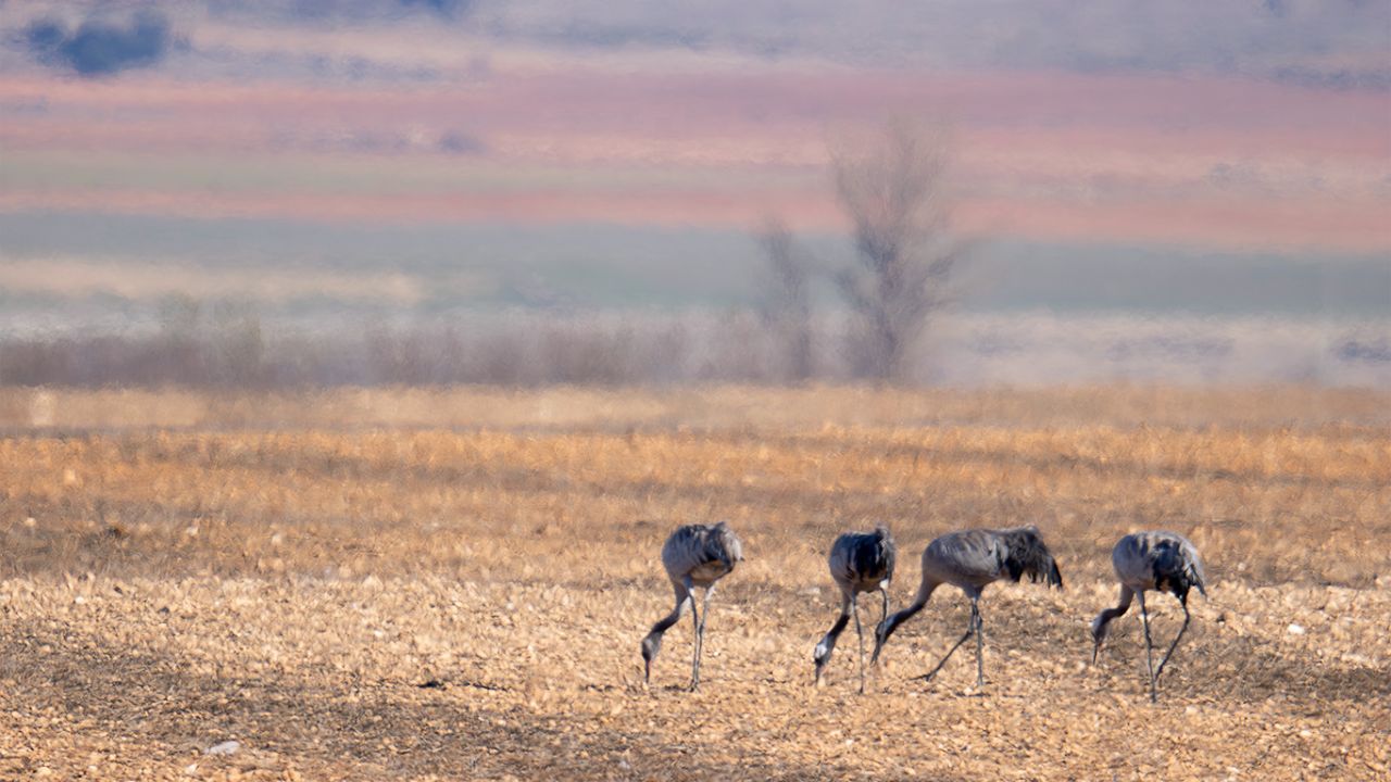 Y grupos aislados. Calor, reverberación...
