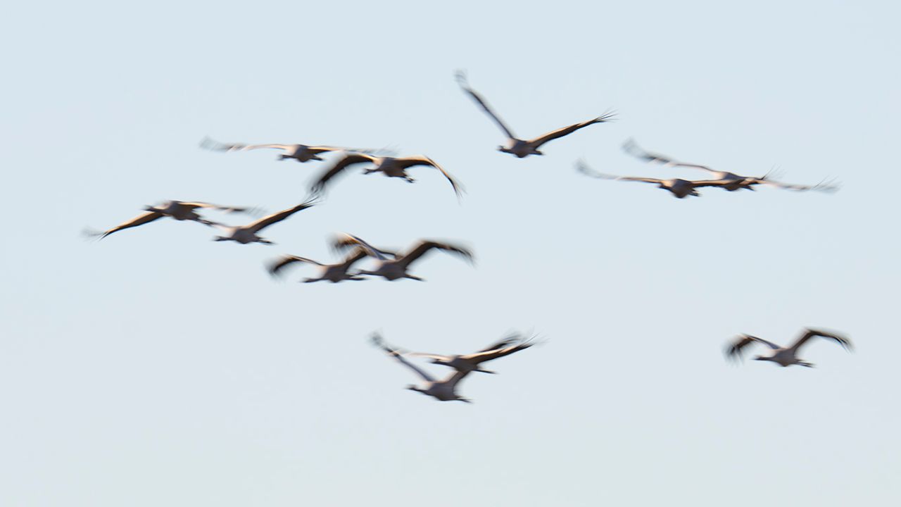 Probando velocidades lentas