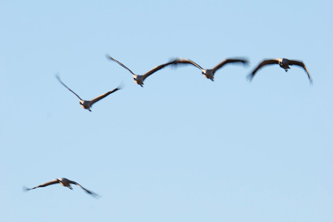 Probando velocidades lentas
